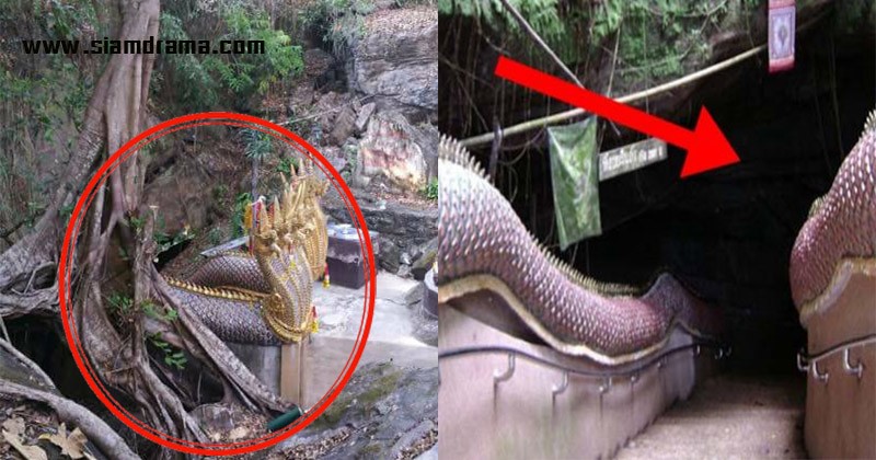 ดั่งปาฏิหาริย์!! "ถ้ำมืด"ลอดฝั่งไทยโผล่ฝั่งลาว กลางป่า เส้นทางลี้ลับเชื่อมต่อ "เมืองมนุษย์-เมืองบาดาล" ประตูสู่ "วังพญานาคราช" พอเห็นภายใน เป็นบุญตาแท้ๆ(ชมภาพ)