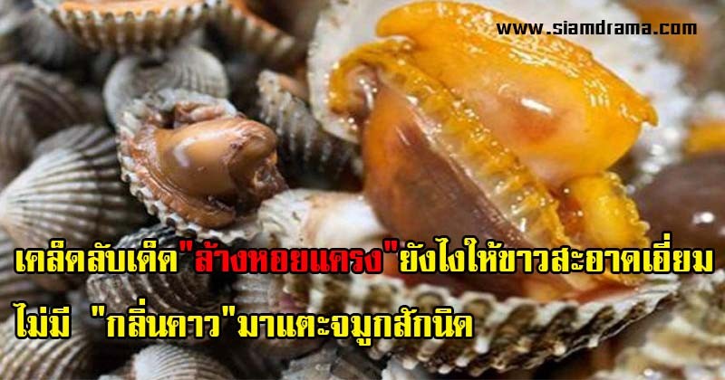 โคตรเจ๋ง!! เคล็ดลับเด็ดที่ต้องรู้ "ล้างหอยแครง" ยังไงให้ขาวสะอาด ไม่มี "กลิ่นคาว"มาแตะจมูกสักนิด แกะกินแบบฟินขั้นสุด แชร์บอกต่อเลย!!