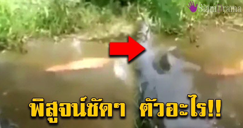 ป๊าดดด นะโมสังโฆ! เจอเงาประหลาดผลุบๆโผล่ๆ กลางแม่น้ำ ตัวเป็นๆ พอรู้ความจริงเงิบทั้งโซเชียล!! (คลิป)