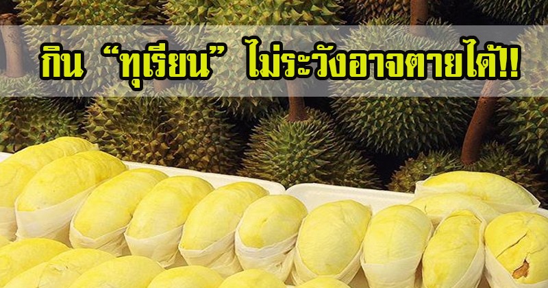 ใครสาวกทุเรียนดูไว้นะ!! เผย 5 ข้อ ก่อนทาน “ทุเรียน” ทานไม่ระวังอาจตายได้ เตือนแล้วนะ!!