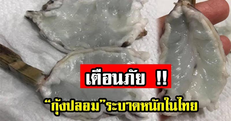 แชร์บอกต่อด่วน !! ดูก่อนกิน “กุ้งปลอม” ระบาดหนักในประเทศไทย กินเข้าไปอาจถึงตาย (มีภาพ)
