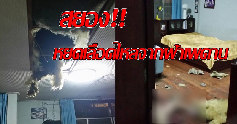 แทบช็อก!สยองคาตา "เจ้าของบ้าน" ได้ยินเสียงดังโครม ก่อนเห็นหยดเลือดไหลจากเพดาน เดินขึ้นไปดู เจอศพนอนดับอนาถคาโซฟา!!(คลิป)