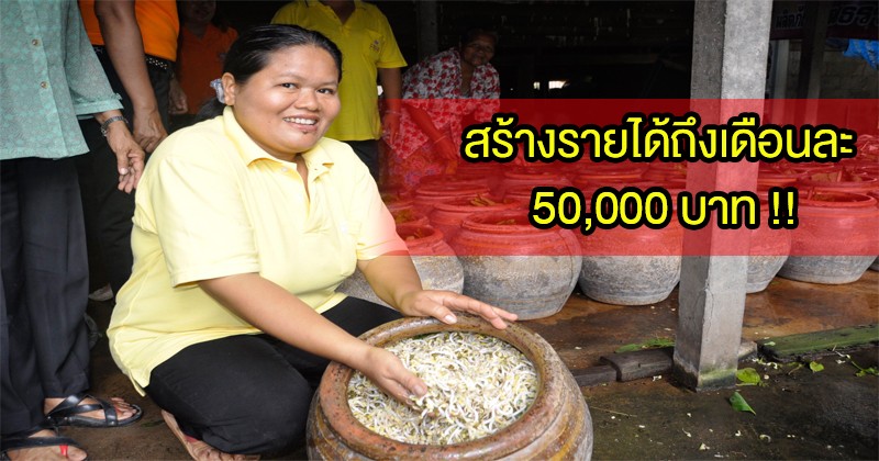 โคตรเจ๋ง !! เพาะถั่วงอกในโอ่งขาย สร้างรายได้ ถึงเดือนละ 50,000 รู้แบบนี้ต้องรีบไปทำบ้างซ่ะแล้ว !!