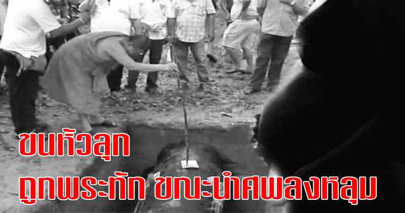 โคตรหลอน!! กำลังนำศพ “หญิงสาวตายทั้งกลม” ลงหลุม ถึงกับสะดุ้งเมื่อพระทักแบบนี้? ผวา! ชาวบ้านวิ่งหนีแทบไม่ทัน?? (รายละเอียด)