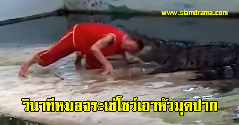 กัดกระชากวิญญาณ!! วินาทีหมอจระเข้โชว์เอาหัวมุดปาก ถูกเขี้ยวเพชฌฆาตขบหัวดิ้นทุรนทุราย (มีคลิป)