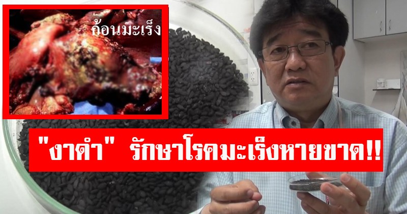 โรคมะเร็งหายขาด!! ล่าสุด ม.ช. พบสารสำคัญของ "งาดำ" สามารถรักษามะเร็งได้ เลิกกังวลโรคร้ายนี้ได้เลย!? (คลิป)