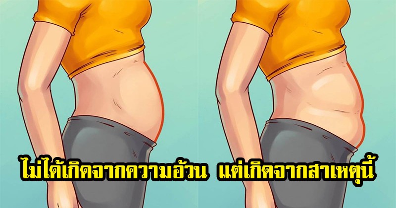 เข้าใจผิดมาตลอดชีวิต ! พุง 5 ประเภท ที่ไม่หมายความว่าคุณอ้วน! แต่อาจเกิดจากสาเหตุนี้ พร้อมบอกวิธีแก้ไขแบบเร่งด่วน !! แค่ทำตามนี้ ? (รายละเอียด)