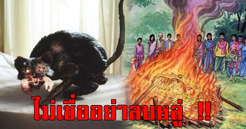 ไม่เชื่ออย่าลบหลู่ !! เผย 23 ลางบอกเหตุร้าย ตามความเชื่อคนโบราณ ใครฝ่าฝืนระวังเจอดี ?!