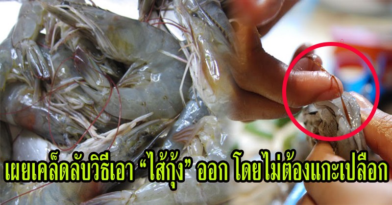 โคตรเจ๋ง !! เผยเคล็ดลับ วิธีเอา "ไส้กุ้ง" ออกโดยไม่ต้องแกะเปลือก !! ง่ายแสนง่าย ไม่เสียเวลา รู้งี้ทำตามนานแล้ว!! (ชมคลิป)