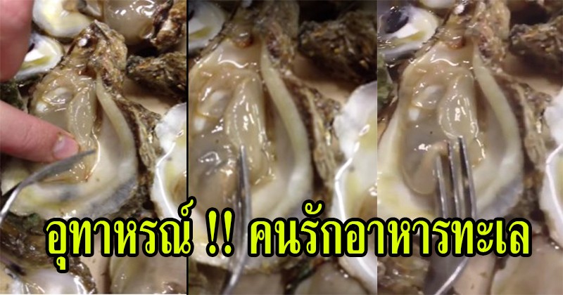 อุทาหรณ์คนรักอาหารทะเล"หนุ่มสาว" จัด "หอยนางรม" สดๆชุดใหญ่! ก่อนความจริงอันโหดร้ายปรากฏ กรีดร้องลั่นร้าน ครั้งแรกและครั้งเดียว !! (มีคลิป)