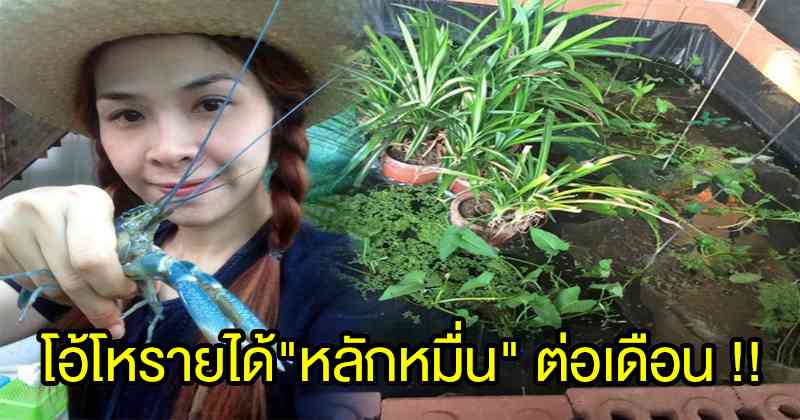 ง่ายๆแค่นี้ !! สาวสวยสอนวิธี "การจัดสวนบ่อกุ้ง" สร้างรายได้ "หลักหมื่น" ต่อเดือน โอ้โหบอกเคล็ดลับขนาดนี้ไม่ทำไม่ได้แล้ว แชร์เก็บไว้เลย !!