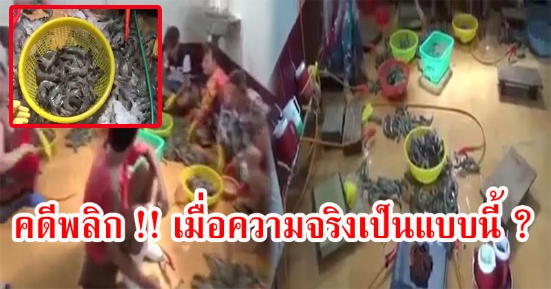 คดีพลิก !! คลิปโรงงานผลิต "กุ้งปลอม" แท้จริงไม่ใช่อย่างที่คิด แต่มันร้ายแรงยิ่งกว่านั้น ? เพราะเรื่องมันดันเป็นแบบนี้ ? (มีคลิป)