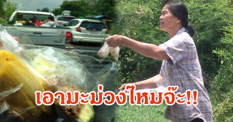 กราบหัวใจ!! เห็นป้ายื่นมะม่วงพริกเกลือข้างถนนนึกว่าขาย พอถามจะซื้อเท่านั้นแหละ "ป้าพูดประโยคนี้ออกมา" น้ำตาไหลนางฟ้าของคนเดินทางจริงๆ