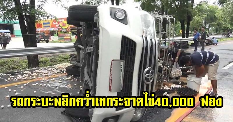 ขาดทุนยับ !! พ่อค้าไข่เกิดกระบะพลิกคว่ำเทกระจาดไข่ 4 หมื่นฟอง สุดท้ายเขาเลยตัดสินใจทำสิ่งนี้ ?
