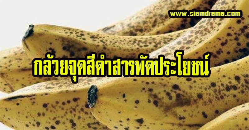 โง่มาตั้งนาน!! จุดสีดำบนเปลือกกล้วยที่ใครๆไม่กล้ากิน แต่สุดท้ายมีประโยชน์มากกว่าที่คุณคิด แชร์บอกต่อเลย (รายละเอียด)