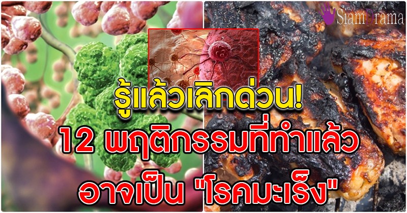 รู้แล้วเลิกด่วน! 12 พฤติกรรมที่ทำแล้วอาจเป็น "โรคมะเร็ง" ภัยร้ายที่คร่าชีวิตคนมาแล้วนักต่อนัก!!
