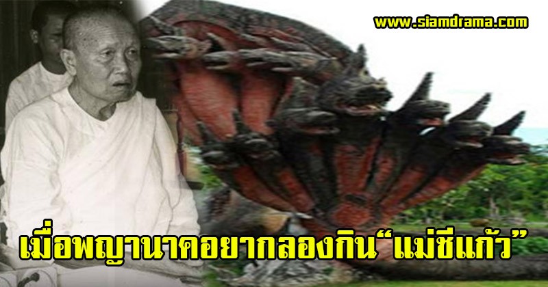 สมเป็นศิษย์เอกหลวงปู่มั่น!! เมื่อพญานาคอยากลองกิน “แม่ชีแก้ว” ฉกไปทีเดียว จำจนตาย สยบต่อพุทธบารมี สาธุ!!