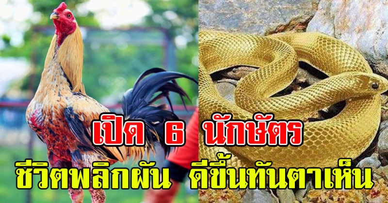 เปิด 6 นักษัตร จะสุขสบายชีวิตดีขึ้น ชีวิตพลิกผันทิศทางที่ดียิ่งขึ้น