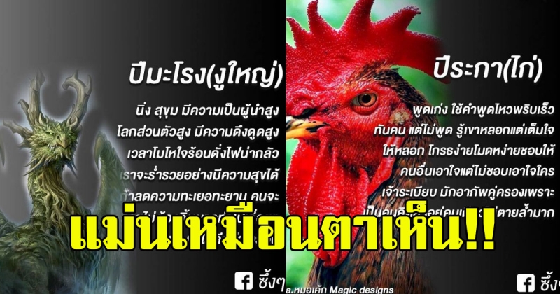 แม่นเหมือนตาเห็น เปิดลักษณะนิสัยตามปีนักษัตรทั้ง 12 ปีนักษัตร