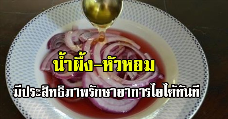ลองแล้วเด็ดจริง!! น้ำผึ้ง & หัวหอม มีประสิทธิภาพในการรักษาอาการไอให้หายได้ในทันที แชร์บอกต่อเลย (รายละเอียด)