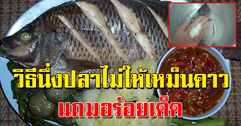 สูตรเด็ด เผยวิธีนึ่งปลาไม่ให้เหม็นคาว แถมอร่อยเด็ดแซ่บเว่อร์