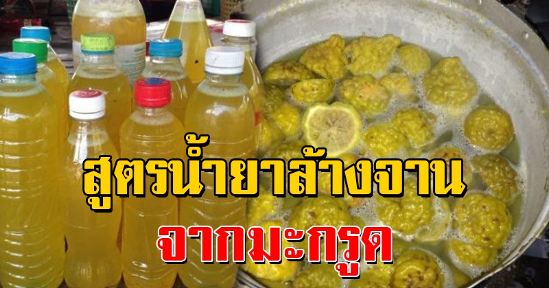 เจ๋งสุดๆ เผยสูตรทำน้ำยาล้างจาน จากมะกรูด ใช้ดีไม่แพ้ยี่ห้อดัง