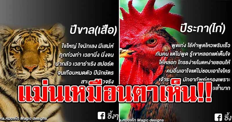 แม่นเหมือนตาเห็น เผยลักษณะนิสัยตามปีนักษัตร ทั้ง 12 ปีนักษัตร